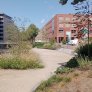KoMex® BIO Naturell Zwolle