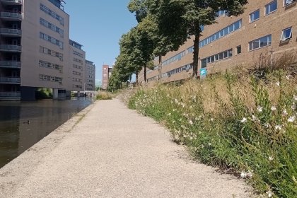 KoMex® BIO Naturell Zwolle
