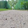 KoMex® BIO naturell in Meppen - In den Höften