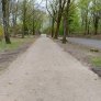 sentiers et terrains munster wassergebundene wegedecke