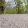 wege-und-flachen munster komex