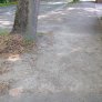 biologisch gebundene Beläge