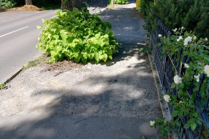 biologisch gebonden halfverharding koersmix