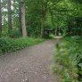 DurEko-Mix-Waldweg im Bürgermeister-Bühner-Park in Issum Sevelen