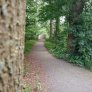 DurEko-Mix-Waldweg im Bürgermeister-Bühner-Park in Issum Sevelen