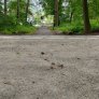 Radweg DurEko-mix® BIO in Hannover