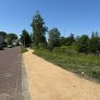Revêtement semi-dur du parc sportif Couwenhoek KoMex BIO Jaune, près du parc Anna Marie van Capellen