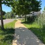 Revêtement semi-dur du parc sportif Couwenhoek KoMex BIO Jaune, près du parc Anna Marie van Capellen