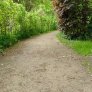 natuurlijke halfverharding bospad