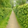 natuurlijke halfverharding fietspad