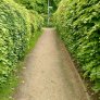 natuurlijke halfverharding wandelpad