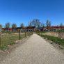 Sentier pédestre KoMex Bio Naturel, revêtement semi-dur, Klundert, commune de Moerdijk