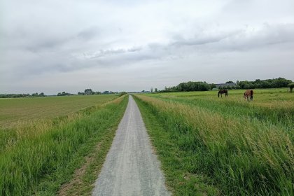 Un nouveau sentier menant à l'ancien cimetière d'Onderwierum a été aménagé avec du mélange DurEko