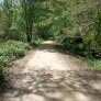 Westerveldse Bos, Zwolle: KoMex BIO Naturel Wanderwege und Radwege