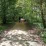 Westerveldse Bos, Zwolle: KoMex BIO Naturel Wanderwege und Radwege