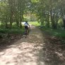 Westerveldse Bos, Zwolle: KoMex BIO Naturel Wanderwege und Radwege