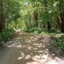 Westerveldse Bos, Zwolle: KoMex BIO Naturel Wanderwege und Radwege
