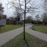 Voetpad DurEko-Mix Haltern am See halfverharding Koersmix