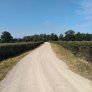 Route agricole KoMex BIO Naturel, Zuthem
