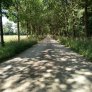 landbouwweg halfverharding
