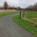 KoTRec-BIO Antraciet te Appingedam