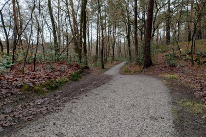 DurEko-mix® à Lingen