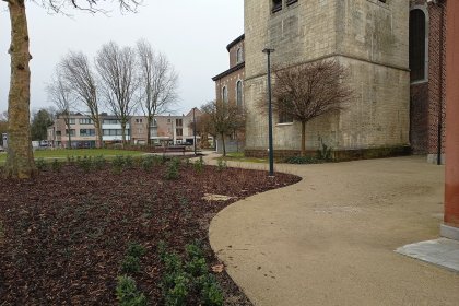KoMex® BIO naturell Dorpshart Zonhoven