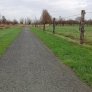 KoTRec-BIO Antraciet te Appingedam 3