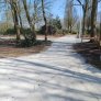 IMG_20250402_150017814 (1)